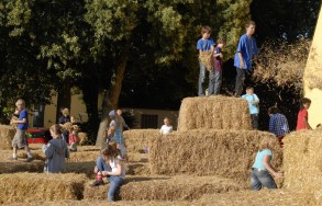 Brauereifest 2012